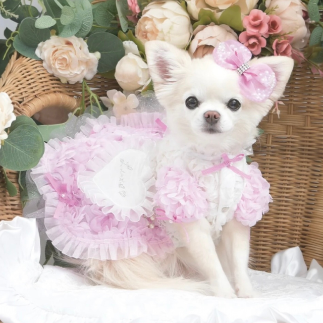 Luxe birdie | PURIM